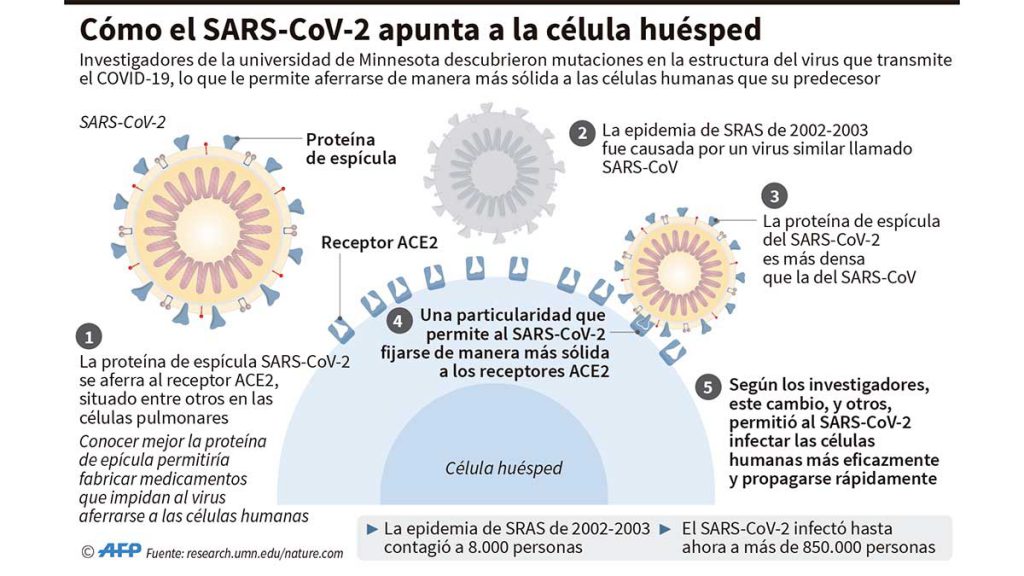 coronavirus_celula_huesped