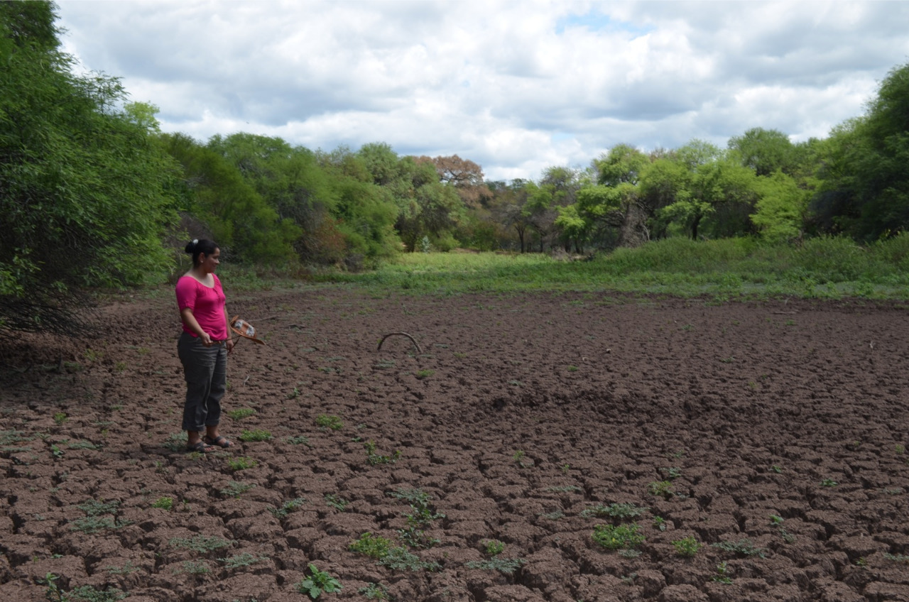 Sudamérica sufre la segunda sequía más intensa en 18 años, que se extiende a Bolivia - La Razón | Noticias de Bolivia y el Mundo
