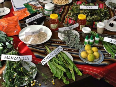 Gobierno launches campaign for the use of traditional medicine against COVID-19 – La Razón