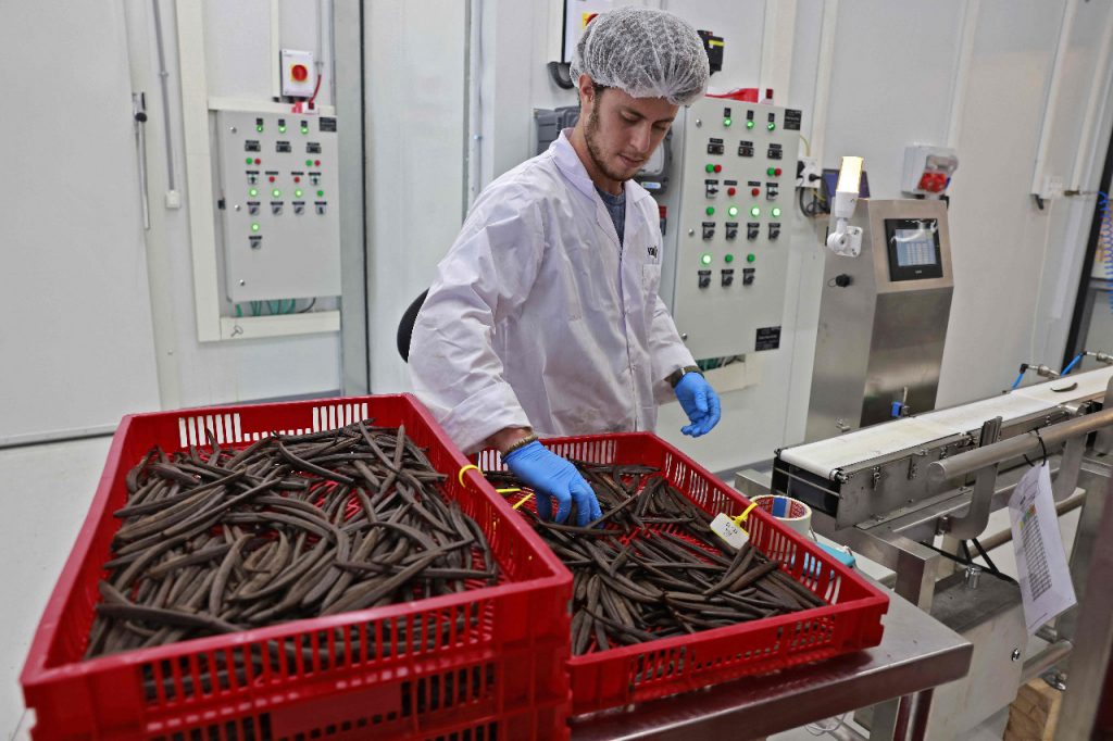 En Israel, la tecnociencia está al servicio de la maduración de la vainilla. Foto: AFP.