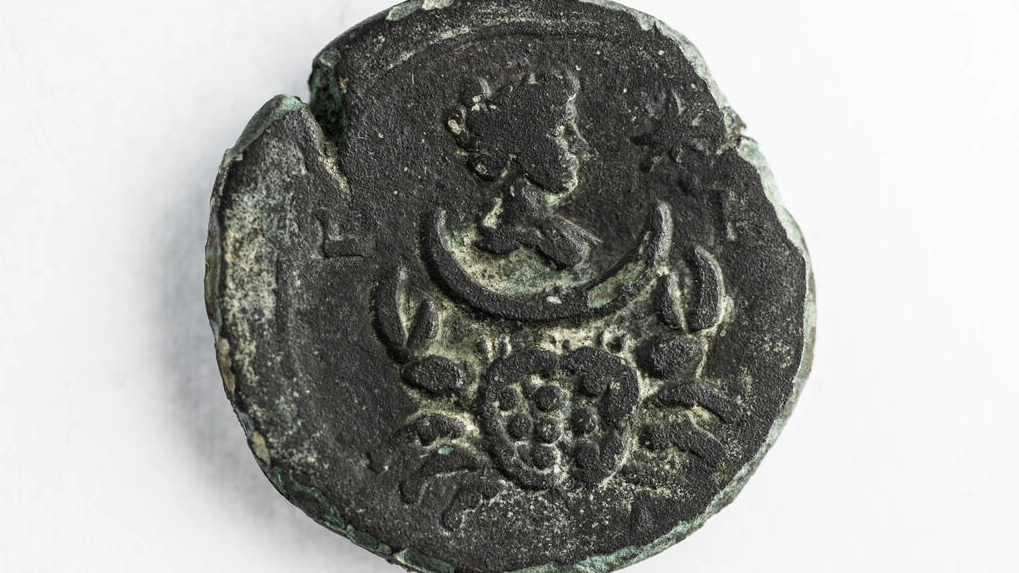Una moneda de bronce de 1850 años, que representa a la diosa romana, Luna, en la Oficina de la Autoridad de Antigüedades de Israel. Foto: AFP.