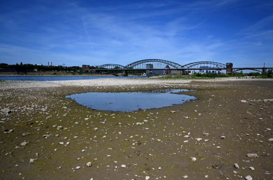 Un charco de agua en medio del lecho casi seco del río Rin en Colonia, Alemania, el 18 de julio de 2022. Foto: AFP.