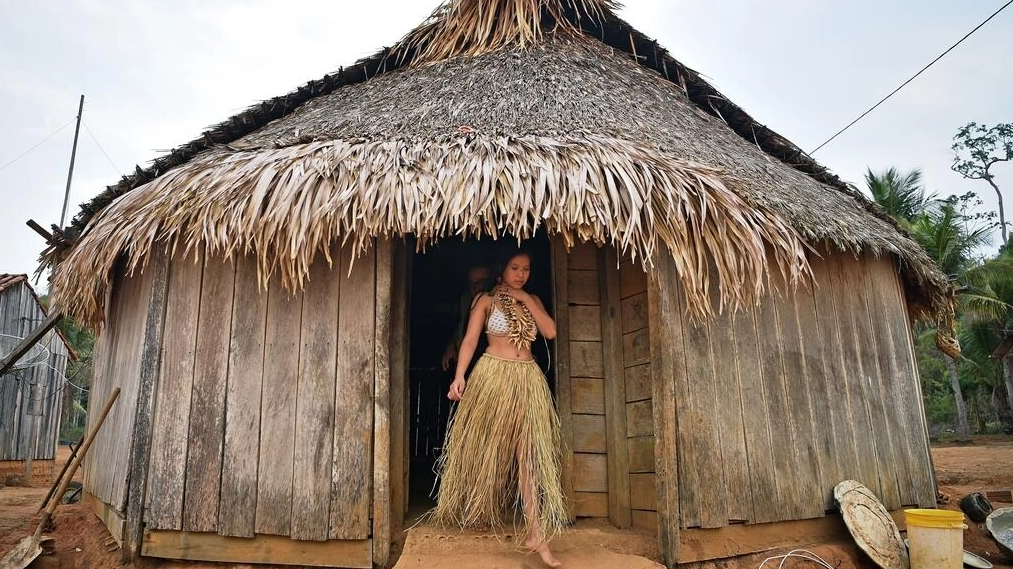 Quedan menos de 200 miembros de la tribu urue-eu-wau-wau, tradicionalmente cazadores-recolectores que viven en una zona protegida de la selva amazónica brasileña, rodeada e invadida por colonos, agricultores y madereros agresivos e ilegales. Foto: AFP.