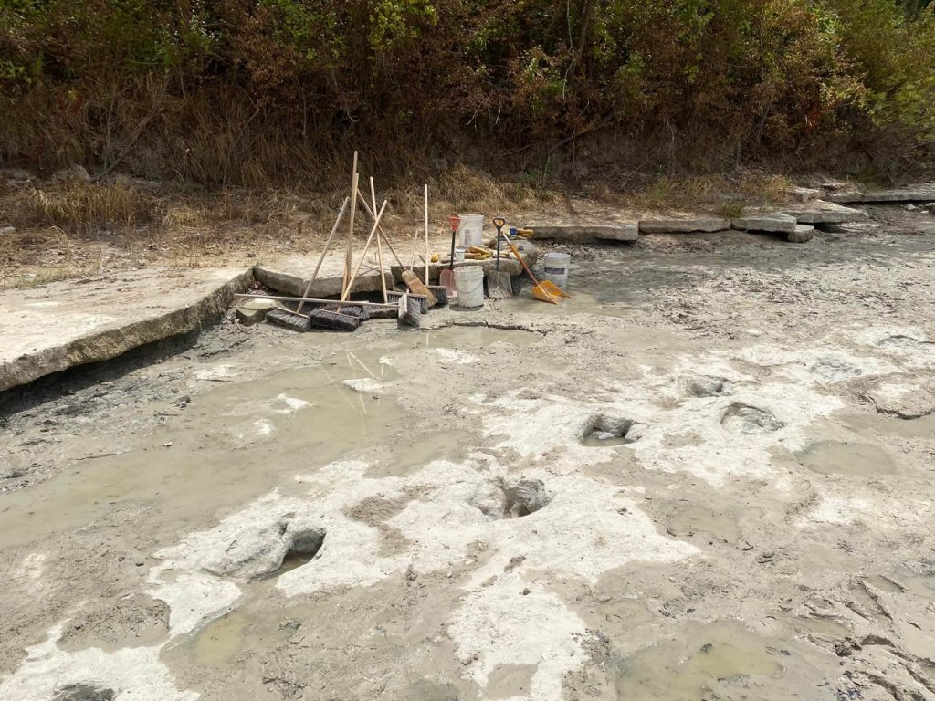 Sequía deja al descubierto huellas de dinosaurios en un parque de Texas -  La Razón | Noticias de Bolivia y el Mundo