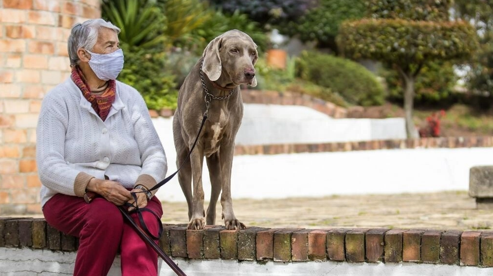 Perro mascota junto a su dueño. Foto: AFP.