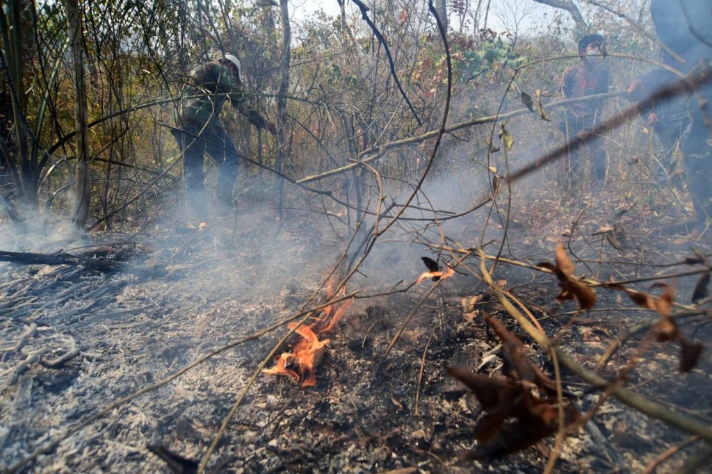 los incendios forestales arrasan con todo a su paso. Foto: Archivo LR