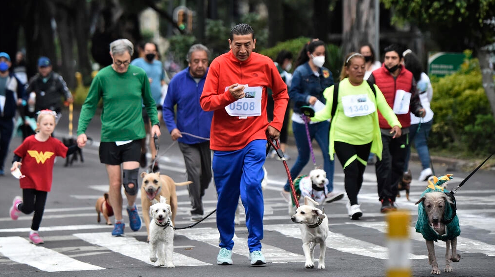 Personas con sus perros participan en la carrera "Perritos en fuga", en Ciudad de México, el 11 de septiembre de 2022. Foto: AFP.