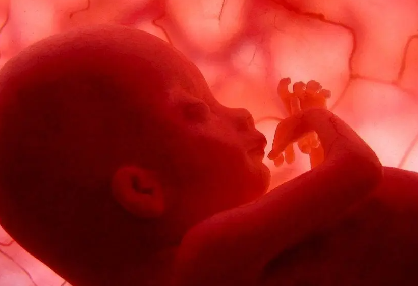 En el vientre, los bebés ya distiguen sabores y olores, según estudio. Foto: Diario Hoy.