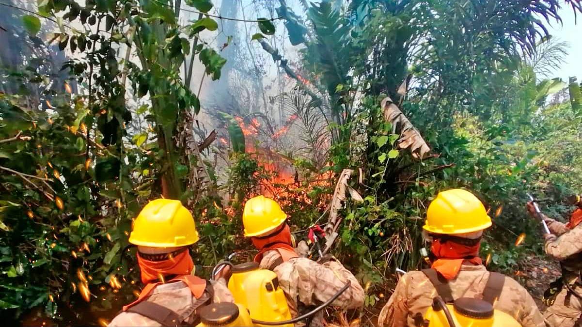 El fuego arrasó con 800.000 hectáreas en Santa Cruz