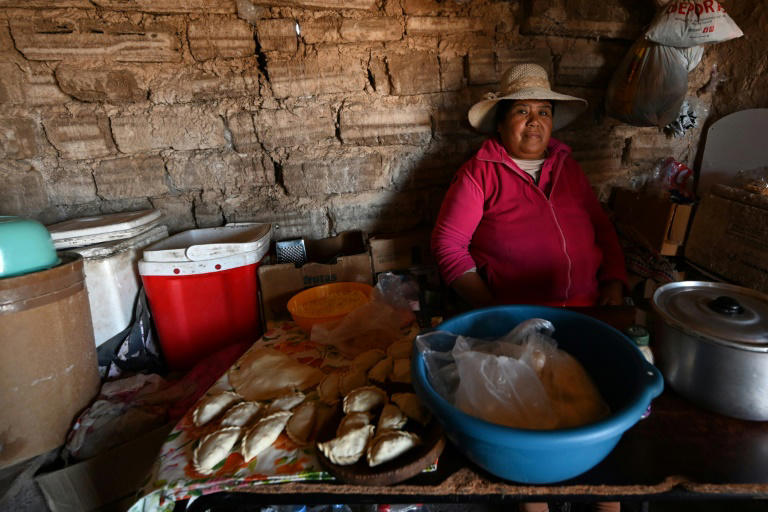 Una comerciante vende empanadas en la comunidad indígena Kolla en el Santuario de Tres Pozos, en Argentina, región afectada por los desastres climáticos. Foto: Aizar Raldes.