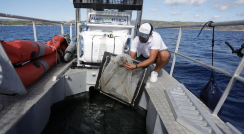 El capitán del barco Marecorsica, Bilal El Ouardani, revisa el plástico recogido del mar Mediterráneo en una red en el golfo de San Amanza, en la isla francesa de Córcega, el 2 de octubre de 2022. Foto: AFP.