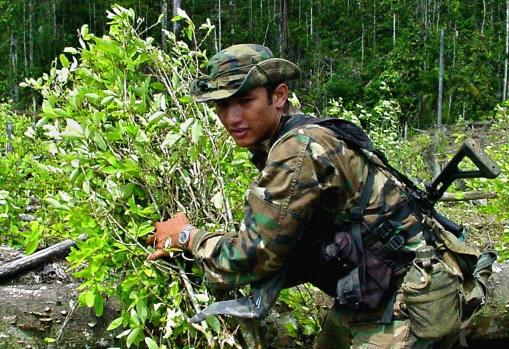 Los países de América detectaron cambios en el cultivo y producción de drogas a base de coca, afirma un informe de la OEA.