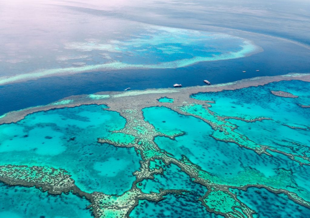 La Gran Barrera de Coral es un área vital para miles de especies marinas. Foto: AFP.