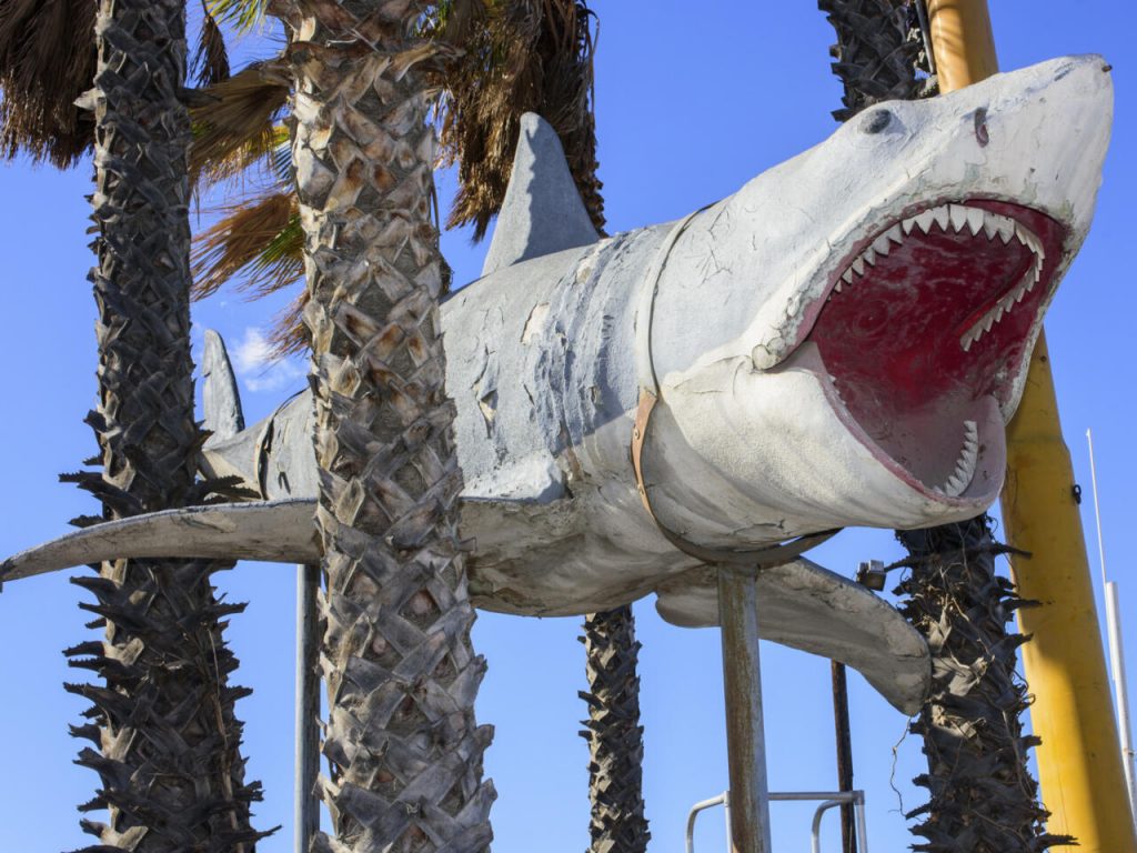 Una de las maquetas empleadas en el rodaje de la película 'Tiburón', fotografiada el 23 de noviembre de 2020 en Los Ángeles. Foto: AFP.