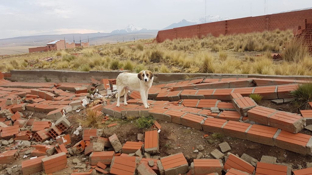 Un torbellino causa destrozos en El Alto. Foto: Pedro Luna