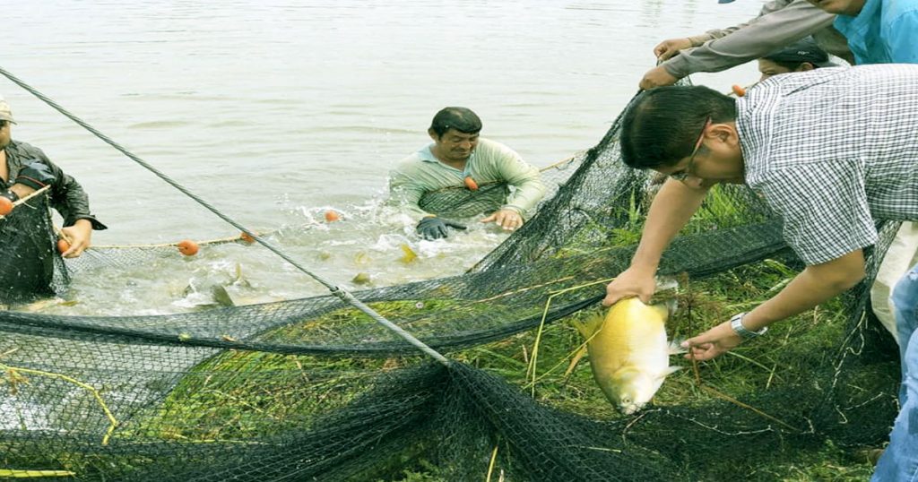 En Beni se producen diversas especies de peces.