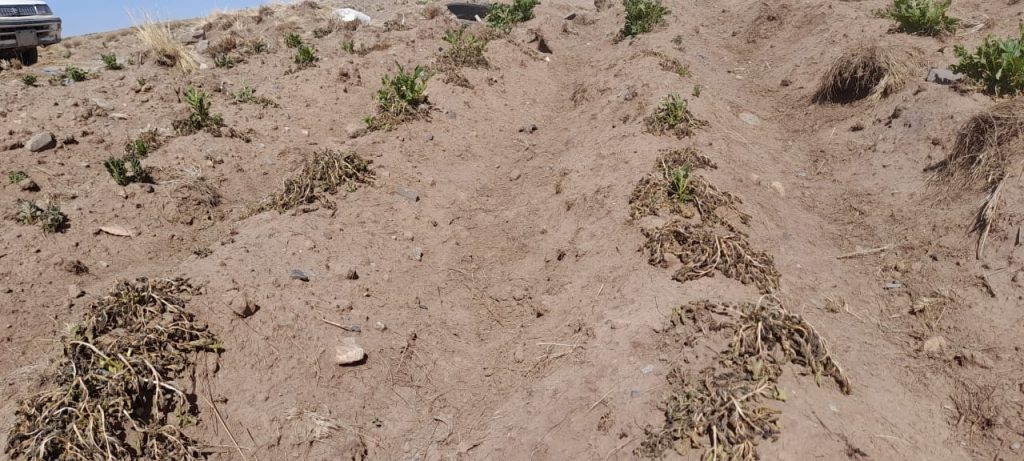 La sequía en El Alto