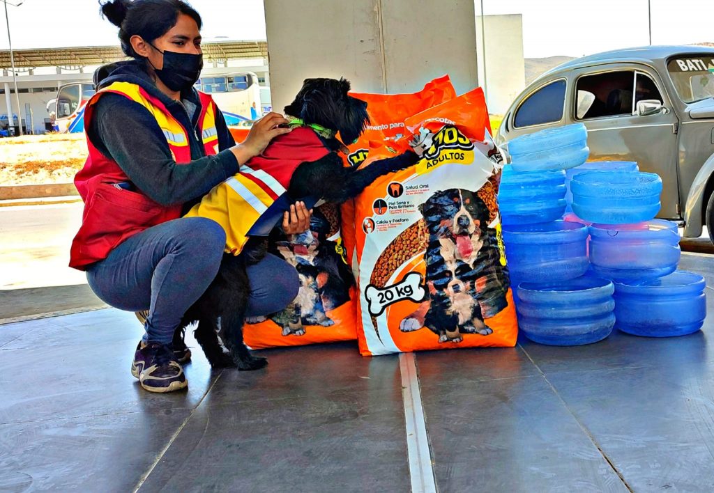 La Terminal de Buses también ayuda a encontrar hogar para los perritos callejeros. Foto: Terminal de Buses de Tarija