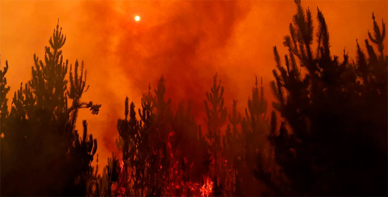 La ola de incendios ha arrasado cerca de 450.000 hectáreas y provocó que se movilizaran más de 5.000 bomberos. Foto: AFP.