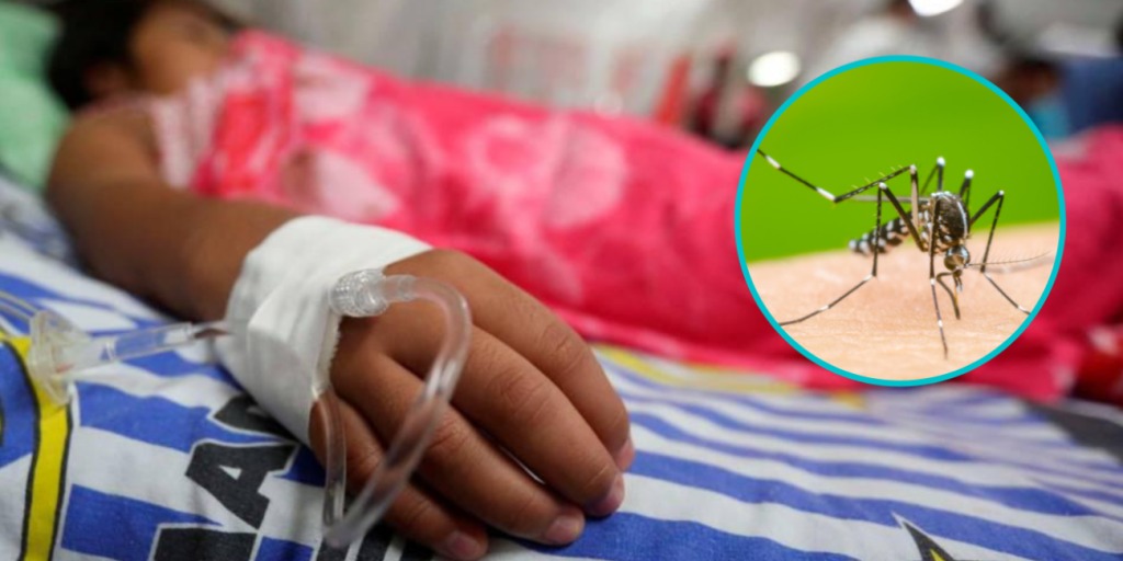 Los menores de edad son los más vulnerables al dengue. Foto: Redes Sociales