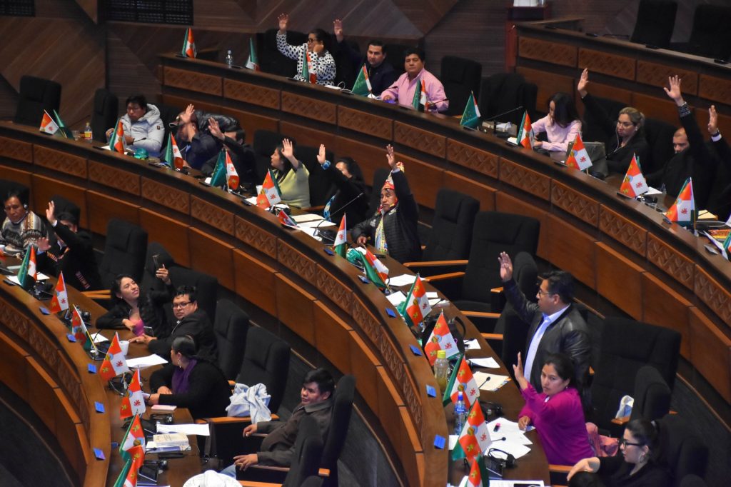 Esta semana, el MAS presentará propuesta de reglamento para las elecciones judiciales. Foto: APG.