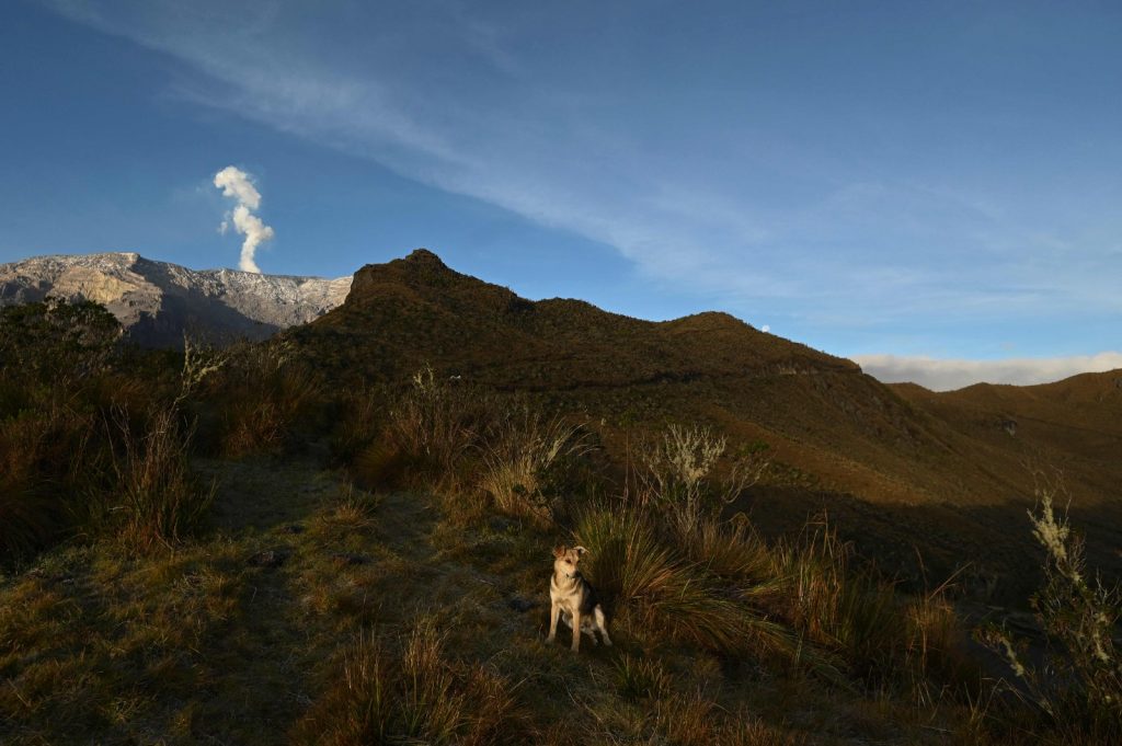 La amenaza del volcán comenzó a finales de marzo. Foto: AFP
