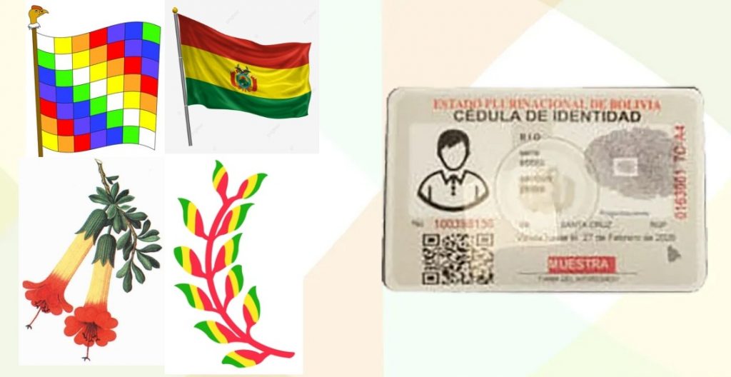 A través del Decreto Supremo 4924, el gobierno del presidente Luis Arce decidió modernizar y actualizar la cédula de identidad.