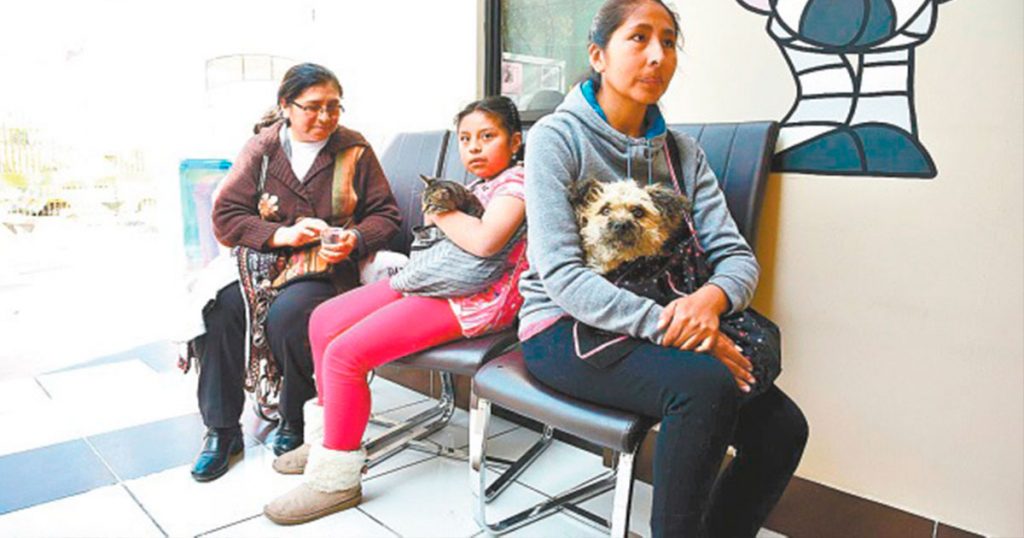 Las esterilizaciones se realizarán en la Casa de la Mascota, en La Paz.