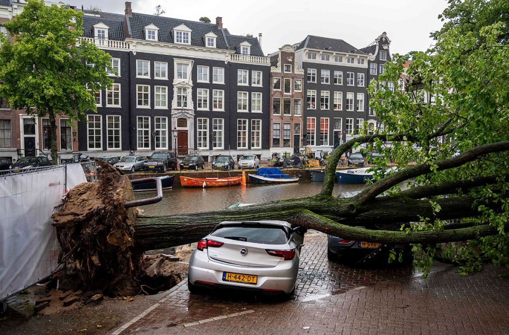tormenta_amsterdam.jpg