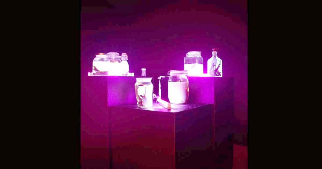 Una instalación de objetos y luz de Maxime Holland.