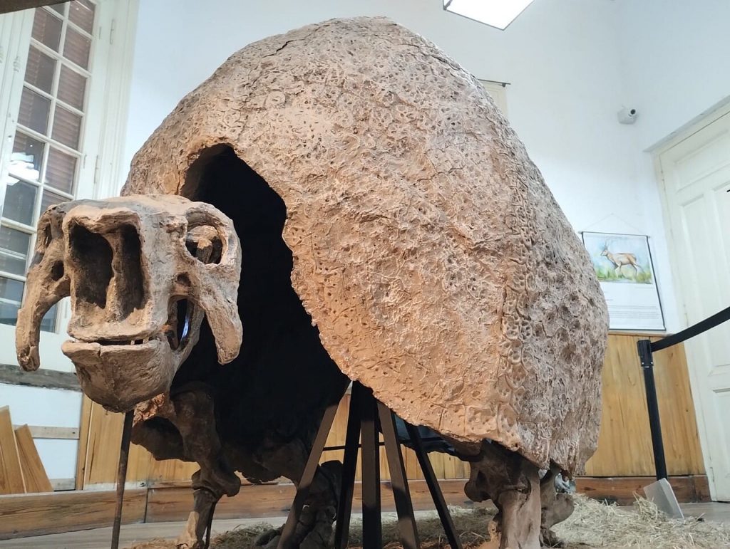 Gliptodonte del museo Concordia en Argentina
