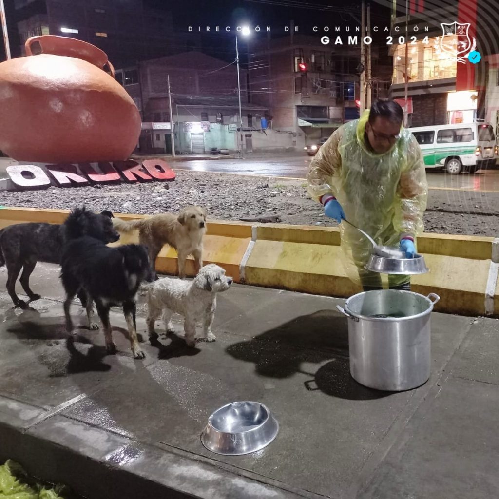 La Alcaldía de Oruro reparte alimentos a perros callejeros y brinda atenciones médicas.