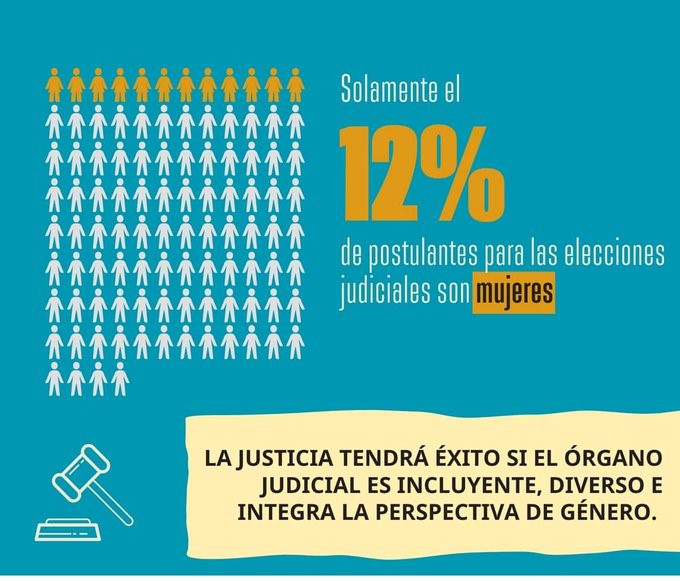 ONU Mujeres observa baja participación de mujeres postulantes a las  judiciales - La Razón