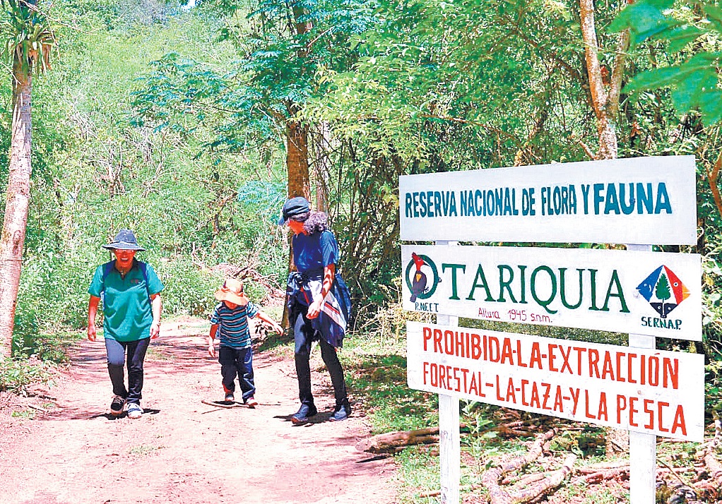 Petrobras y Chaco aseguran que no se tocará la reserva de Tariquía.