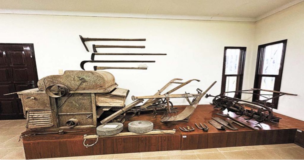 Algunos de los instrumentos que los inmigrantes usaban en la colonia San Juan para su labor agrícola y fotos del monte virgen.